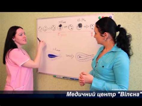 Фолликулометрия - ультразвуковой мониторинг развития фолликулов и ...
