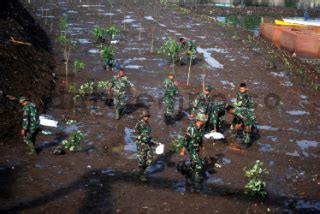 Tni Menanam Pohon Di Pinggir Sungai Citarum Lama DATATEMPO