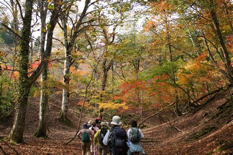 芦生の森ネイチャーガイドトレッキングツアー｜おでかけ検索｜森の京都｜京都の「森」総合案内サイト