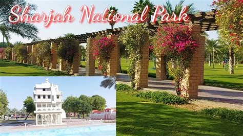 Sharjah National Park Largest Park In Sharjah Best Places For Bbq Areas Near Sharjah And Ajman