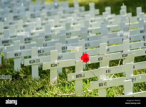 Adelaide, Australia - November 11, 2016: Remembrance Day traditional ...