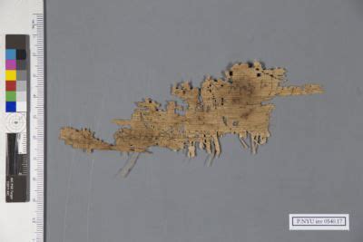 Papyrus Fragment P NYU Inv 0540 17 New York University Collection Of