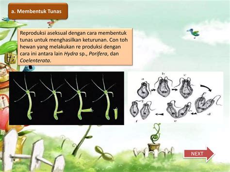 Ppt Perkembangbiakan Tumbuhan Dan Hewan Pptx