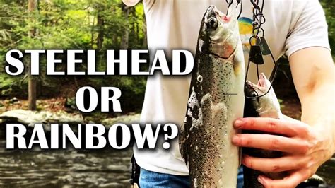 Trout Fishing With Nightcrawlers Part 2 Youtube