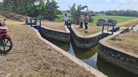 Kementan Langsung Bergerak Atasi Kekeringan Di Wajo Akibat El Nino