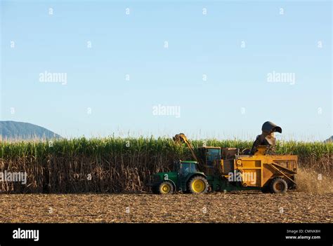 Sugar Cane Harvester Hi Res Stock Photography And Images Alamy