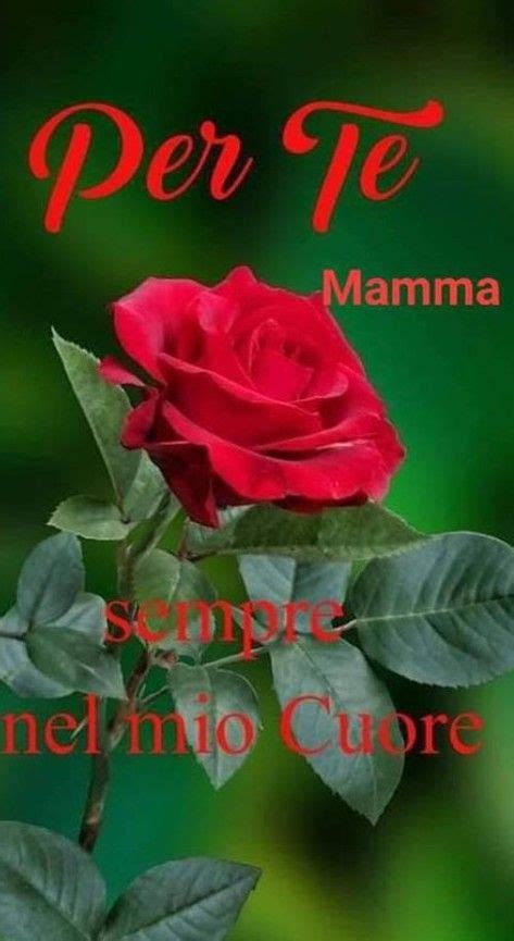 Pin Su Mamma Nel Ricordare Mamma Immagini Di Buon Compleanno