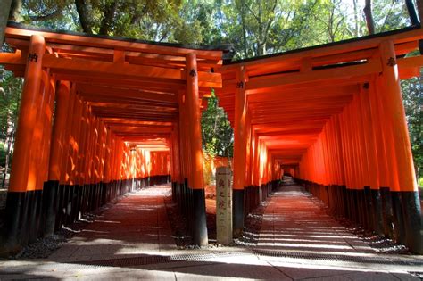 鳥居が連なる光景が美しい全国の絶景神社6選！