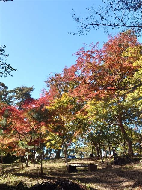 ちょっと秩父まで 紅葉 泣いて笑って、ゆっくり歩いて「よいしょっと」