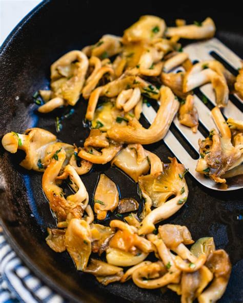 Oyster Mushrooms Info Recipe A Couple Cooks