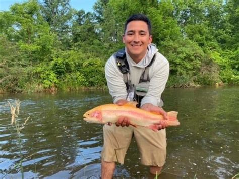 Palomino Trout: Trophy Fish or Just Another Rainbow? • Panfish Nation