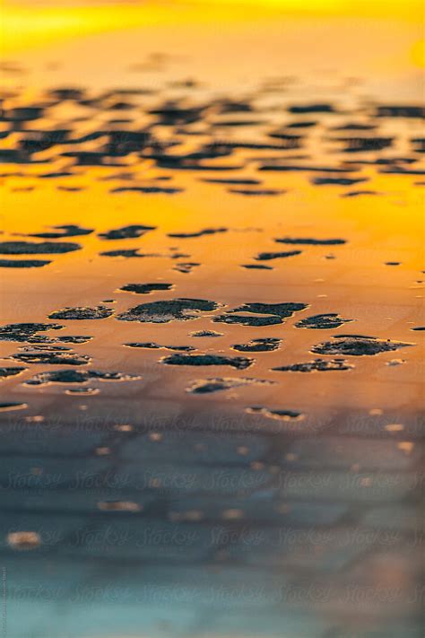 Water Reflections In A Puddle By Stocksy Contributor Victor Torres