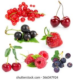 Set Berries Isolated On White Background Stock Photo 366347924