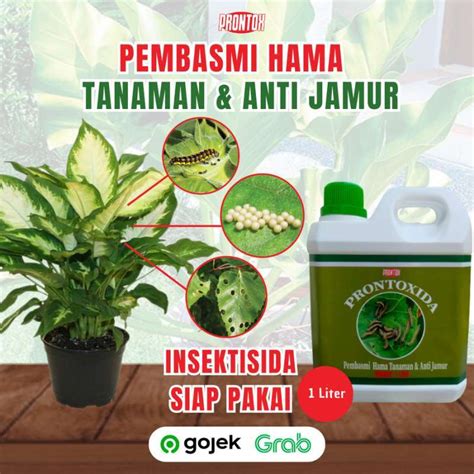 Jual Pembasmi Hama Tanaman PRONTOXIDA 1 Liter Pembasmi Kutu Putih Ulat