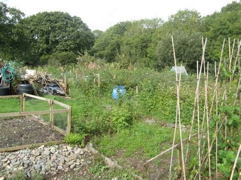 Tregarth Community Allotments © Jonathan Wilkins Cc By Sa20 Geograph Britain And Ireland