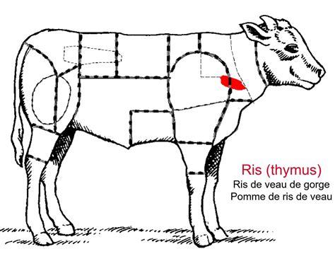 Ris De Veau Quelle Partie Du Veau Communauté MCMS Dec 2023