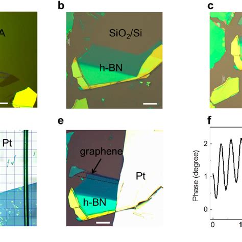 Preparation Of Transferred Graphene H Bn Heterostructure With 2 4° Download Scientific Diagram