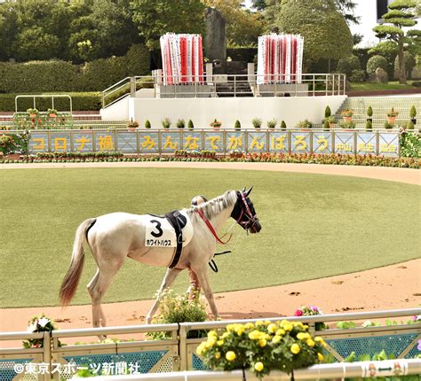 東スポ 写真部 On Twitter 【競馬】2020年10月4日 千葉県船橋市・中山競馬場 「コロナ禍 みんなでがんばろう」と書かれた