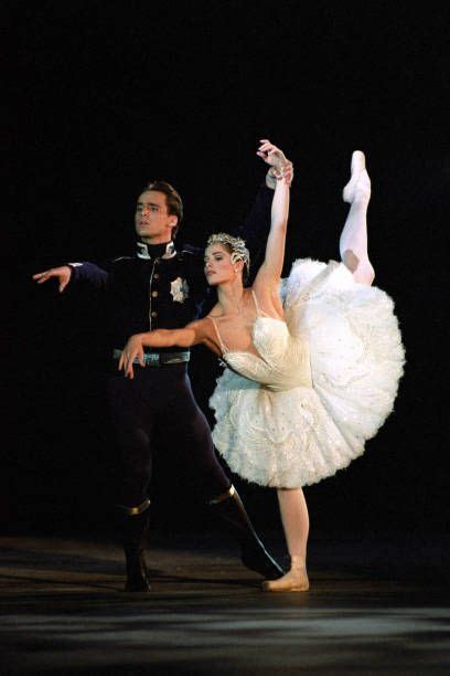 Swan lake costumes – Artofit