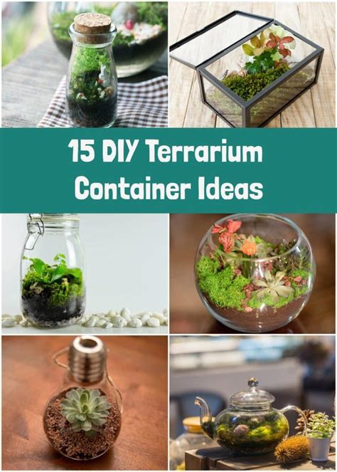 DIY Terrariums Everything You Need To Know To Build Your Own