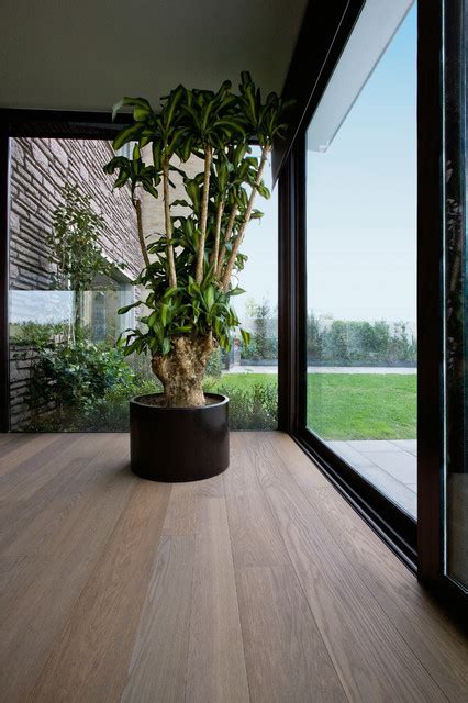 Dark Thermo Oak Contemporaneo Soggiorno Londra Di Urbane Living