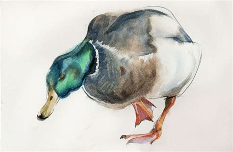 A Watercolor Painting Of A Duck With Its Head Turned To The Side