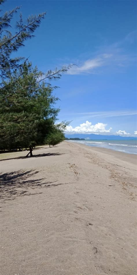 Senandung Nyiur Di Bibir Pantai