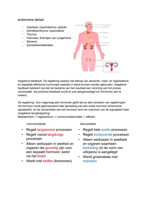 Les 6 Les 6 Inhoud Endocriene Stelsel Hypofyse Hypothalamus