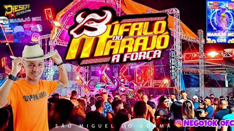 SET BUFALO DO MARAJO AO VIVO EM SÃO MIGUEL DO GUAMÁ DJ ADRIANO NO