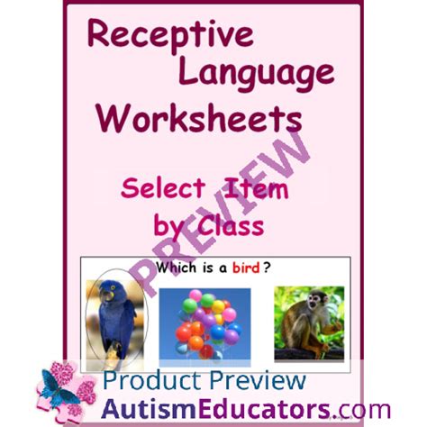 Receptive Language Worksheets Select Item By Class