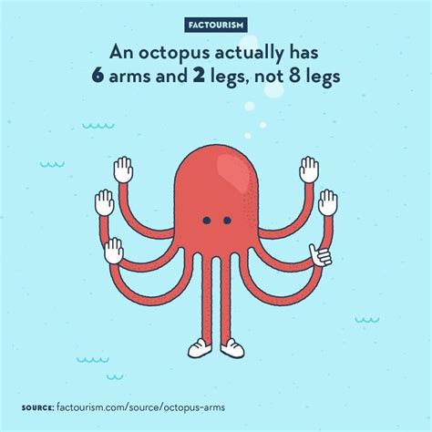 We Illustrated Of The Most Fascinating Facts About Our World Bored