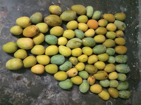 Pin By Bablu Mandal On Mng Easter Eggs Fruit Easter