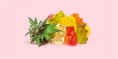 Best Thc Edibles Of 2022 Top 5 Thc Infused Products Chicago Magazine