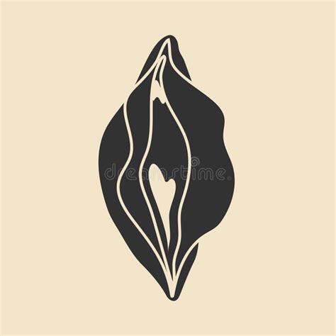 Beauty Female Reproductive System Vulva Illustrator A Vagina Stock