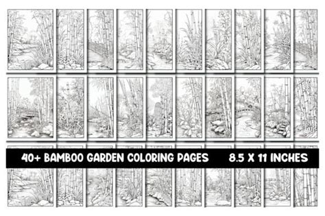 Bamboo Garden Coloring Pages Graphic By Aylani Emilia Creative