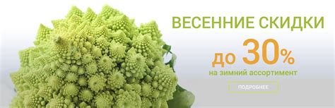 Главная — Дикая речка