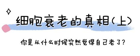 【乔科普】细胞衰老的真相（上）！ 知乎