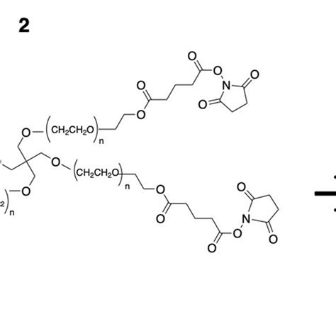 Pdf In Situ Forming Collagen Hydrogel Crosslinked Via Multi