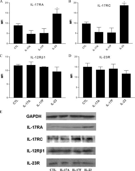 Protein Expression Of Il 17ra Il 17rc Il 12r1 And Il 23r In