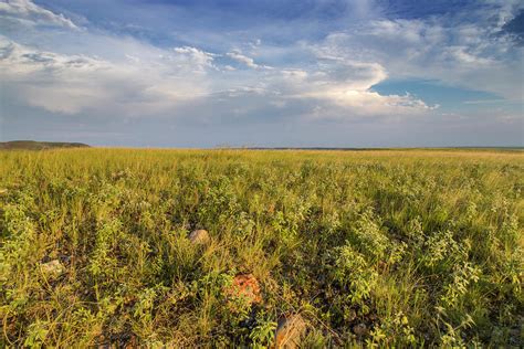 Shortgrass Prairie At The Bitter Creek Photograph By Chuck Haney Fine