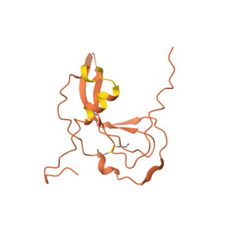 Rcsb Pdb Af Afa A P Xxe F Computed Structure Model Of Os G