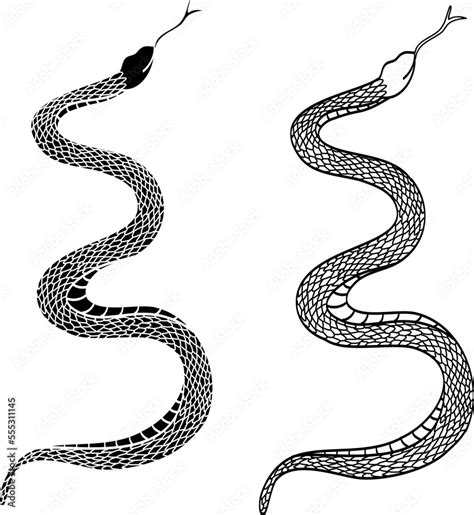 Hand Drawn Snake Vector Illustration Isolate On White Backgroundmilk