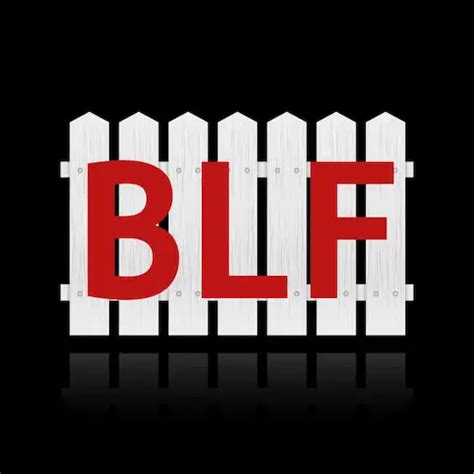 Black Aluminum Black Label Fence Llc