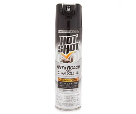 Hot Shot Ant Roach Plus Germ Killer Oz Big Lots