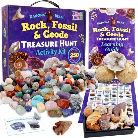 Dancing Bear Rock And Mineral Collection Activity Kit 200pcs With