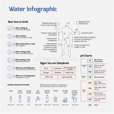 Importance Of Water Infographic Water Health Importance Vector Eps