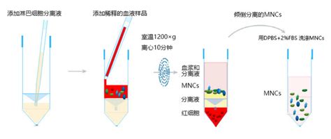 Septube Precision Biomedicals Pbm