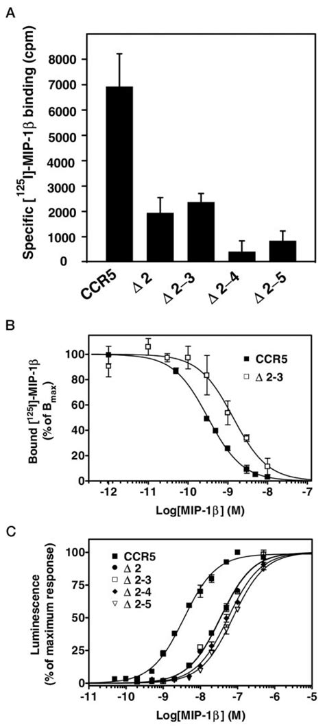 Mip Binding And Functional Properties Of Ccr Amino Terminal