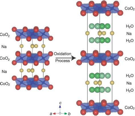 Superconductivity In Two Dimensional Coo Layers Nature