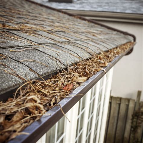 5 Reasons To Hire A Professional Gutter Cleaner Gutter Boyz Of Kentucky